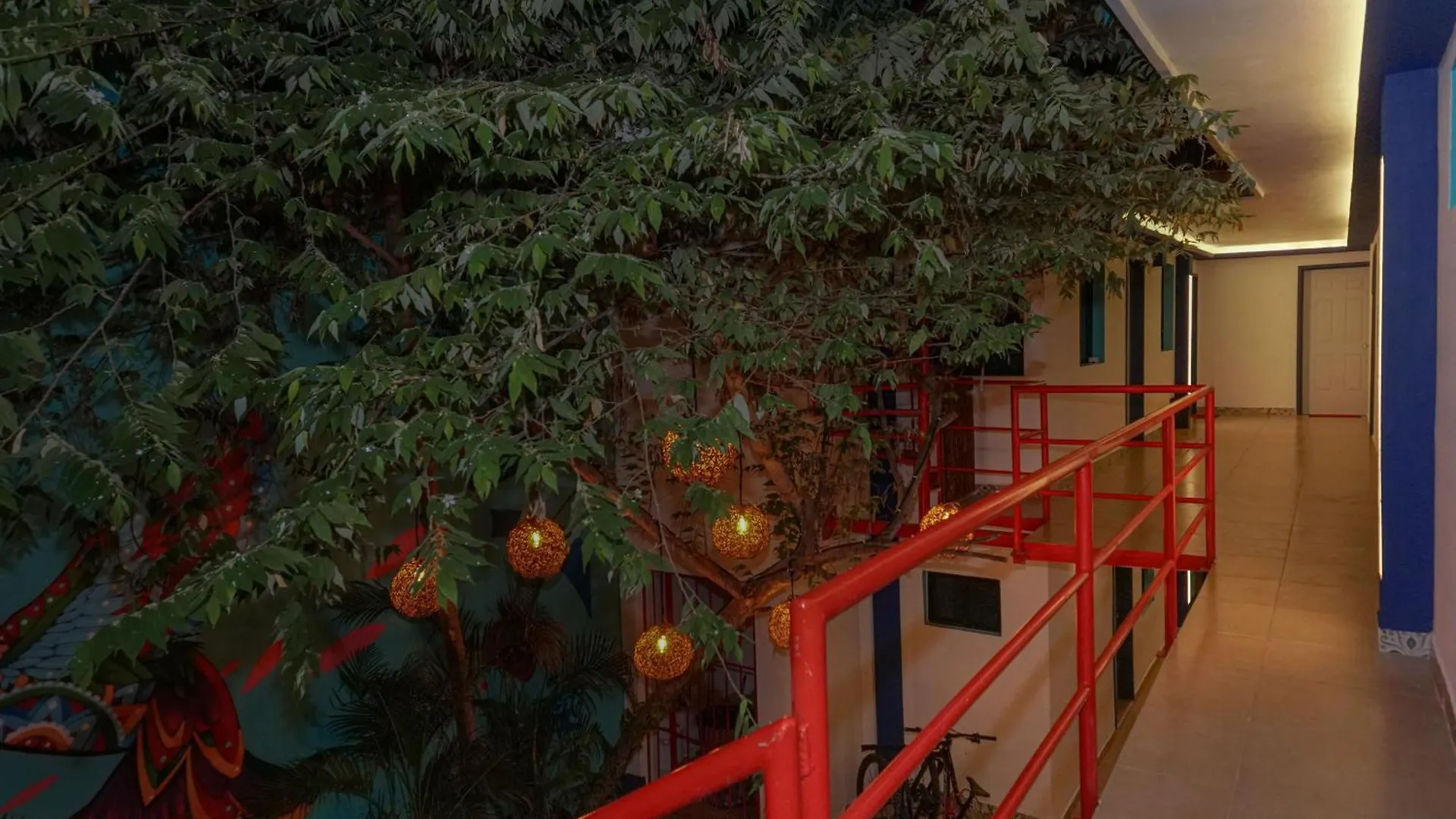 Hotel Linda Vecindad Playa Del Carmen México