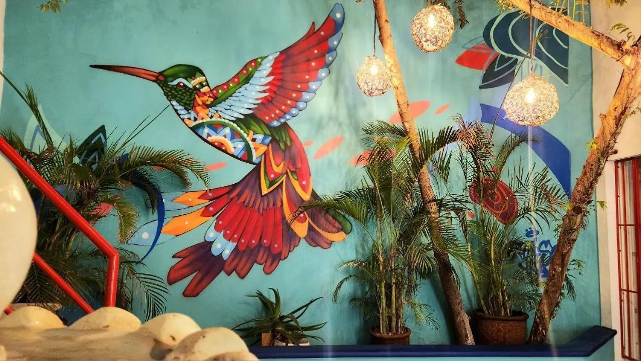 Linda Vecindad Playa Del Carmen Hotell